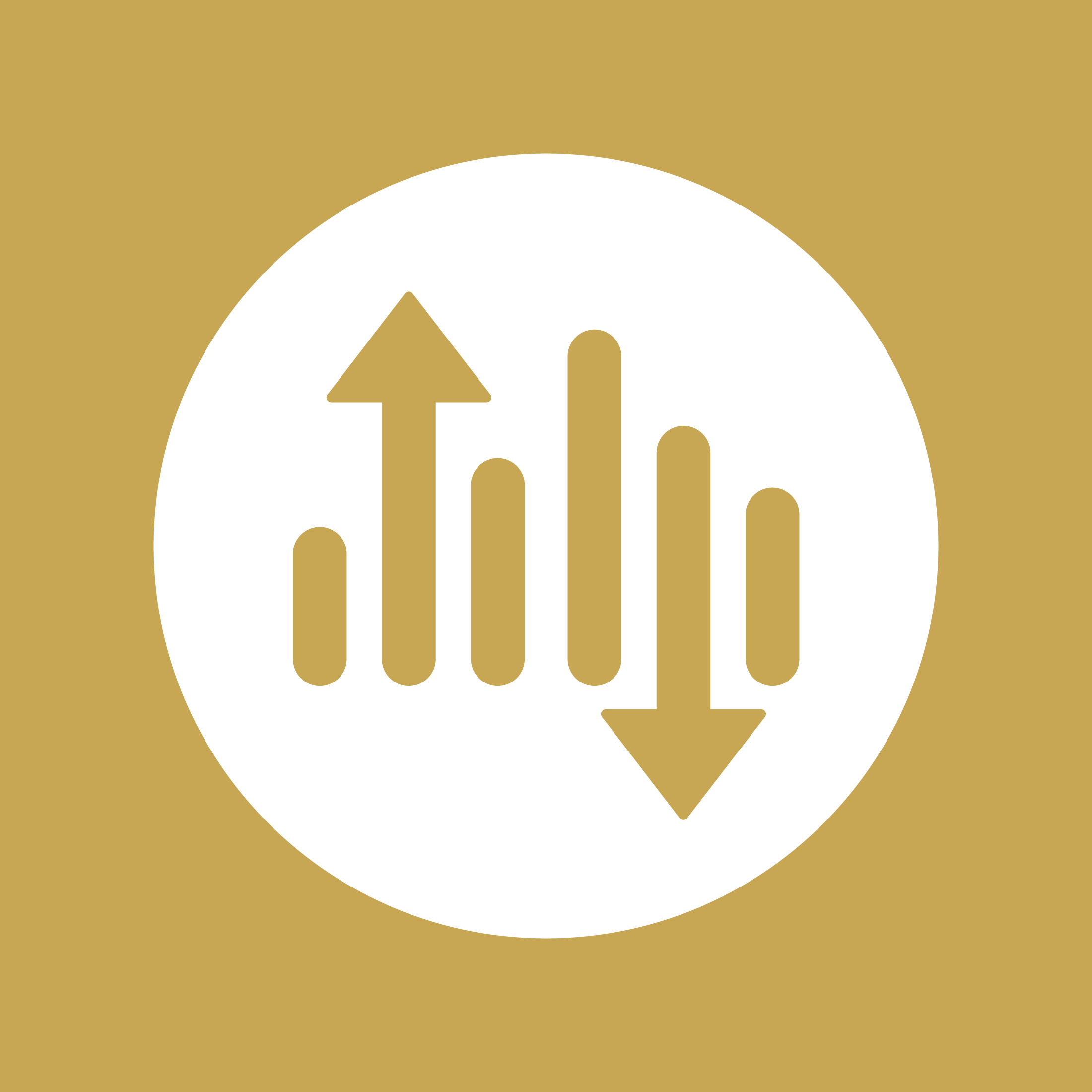 releasy icon logo white